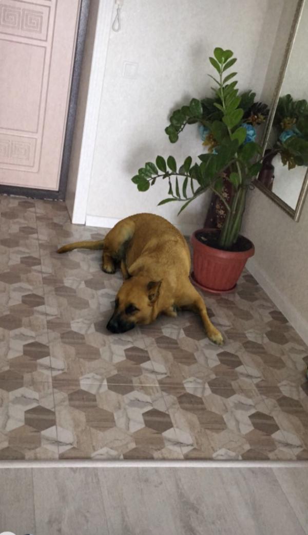 post image 1