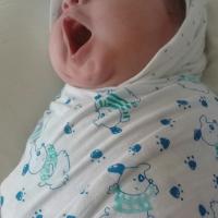 Imaan