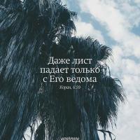 Джамиля