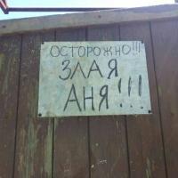 Анюта 
