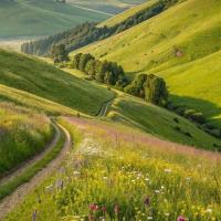 ام عبد الهادي