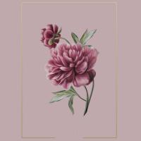 🌸SEM🌸