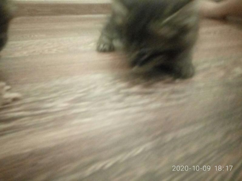 post image 5
