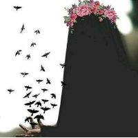 سَلْمَ🕸️