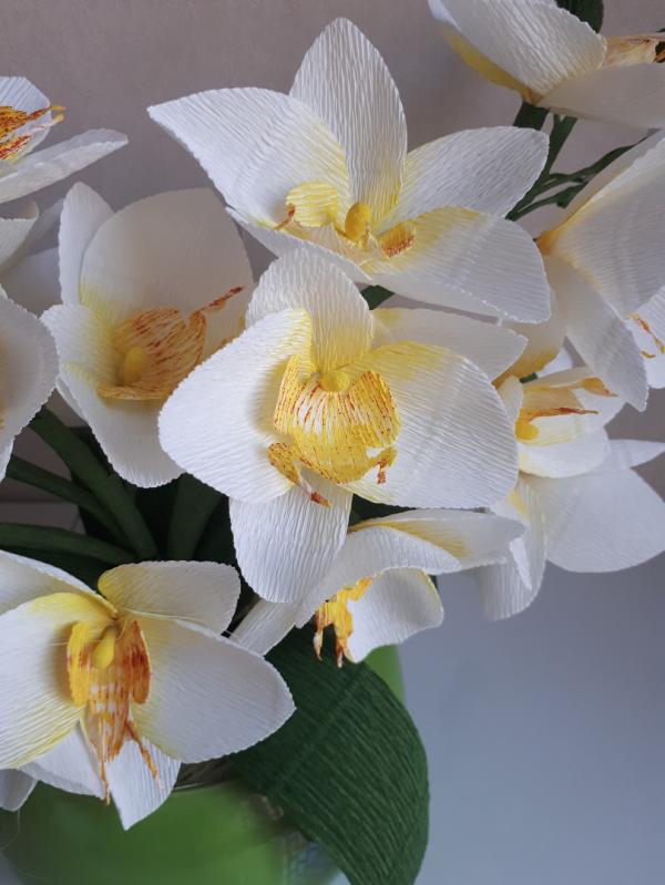 post image 4