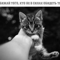 Амина