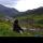 magomed231991