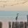 amalfi_01