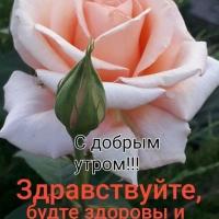 Олька