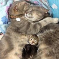 Mama