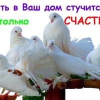Гульнара