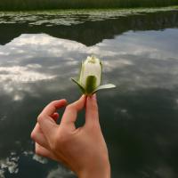 Мария