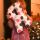 star_alesia