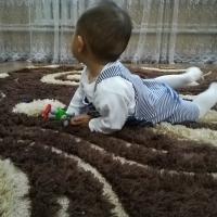Жаник