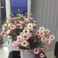 Наталья