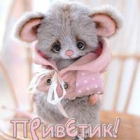 Mira_N