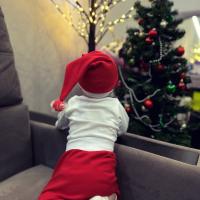 doctor_saida05@mail.ru