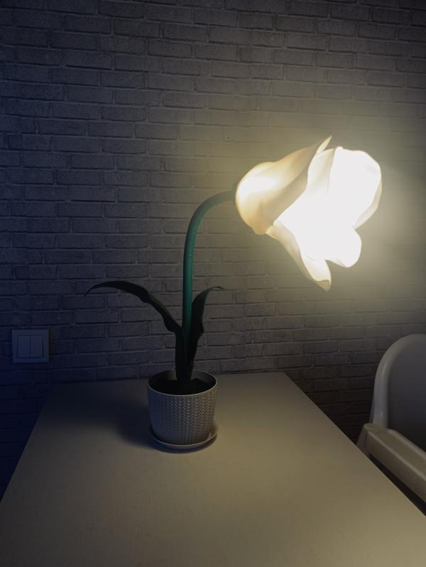 post image 4