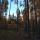 lampa100v