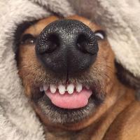 Ольга