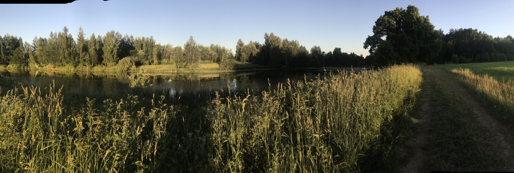 post image 5