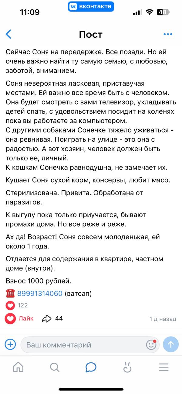 post image 5