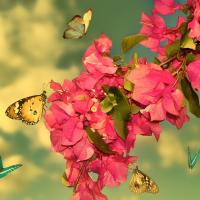 Елена Белова