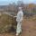 shumel_kamysh