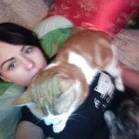 Елена Колесникова