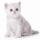 white_kat