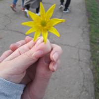 Саша Скромная