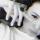maral_begalieva