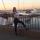 julia_7333