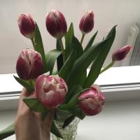 Наз