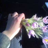 Александра