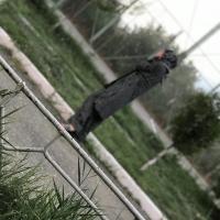 мари