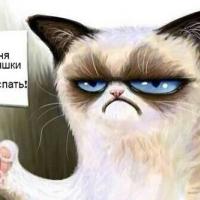 Белка 