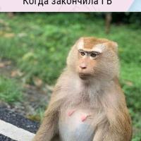 ❤️❤️❤️