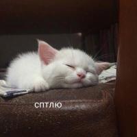 Catherine