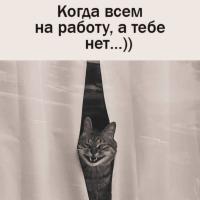 N_Yana