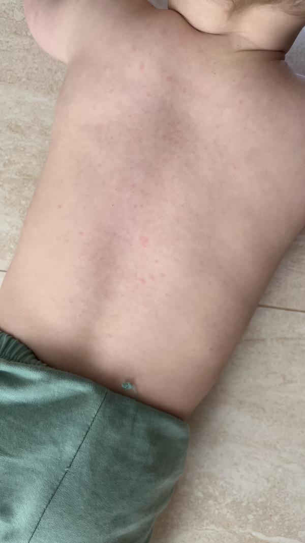 post image 2