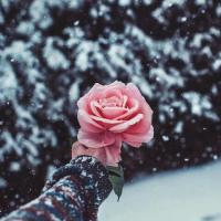 Алия