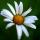 olika_b