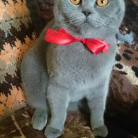 Александра