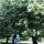 sulim_linda