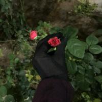 🌸