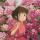 aishiteru