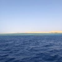 Карина 