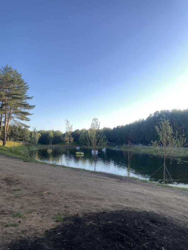 post image 5