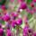 olya_12345678